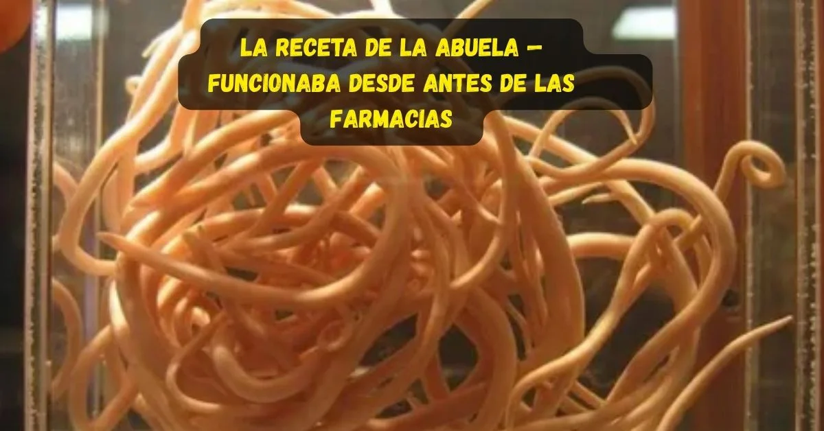 Stress et alimentation